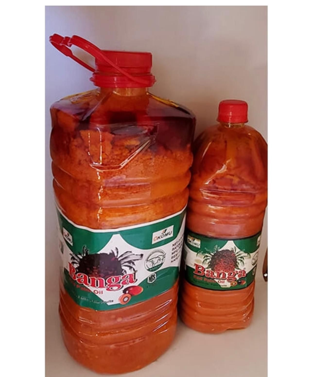 WhatsApp Image 2024-11-22 at 00.13.53